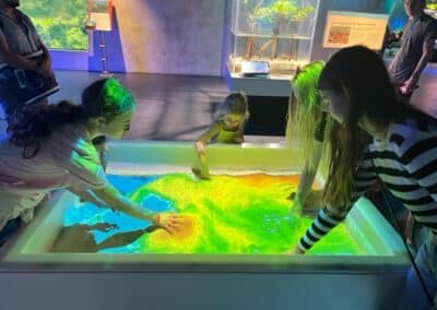 Interactive Topographic Mapping at the Frost Museum